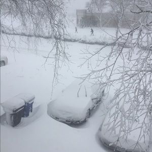 Meet your Posher, Shanise